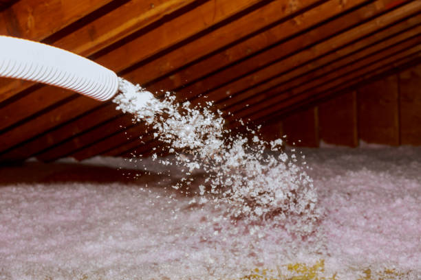 Best Eco-Friendly Insulation in Le Mars, IA
