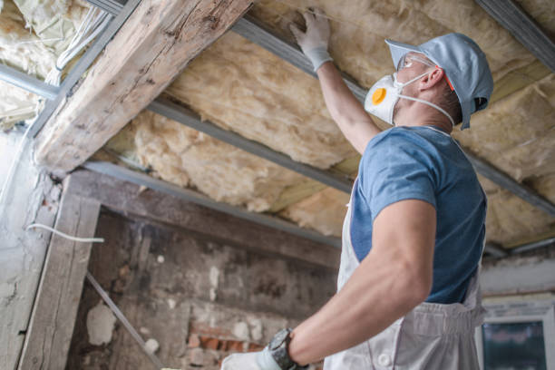 Best Fiberglass Insulation in Le Mars, IA