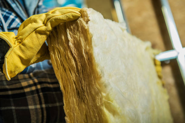 Best Insulation for Specific Applications in Le Mars, IA