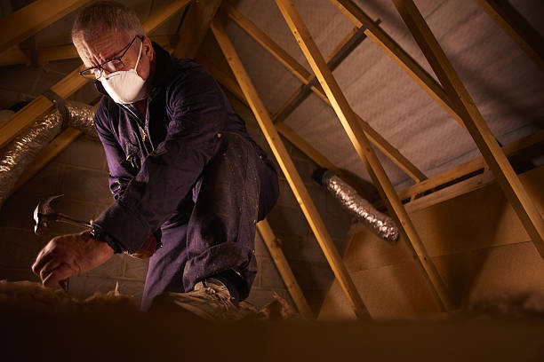 Best Geographic-Specific Insulation Services in Le Mars, IA
