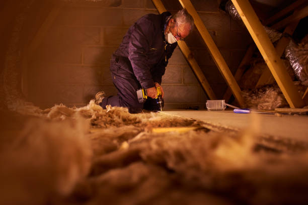 Best Specialized Insulation Services in Le Mars, IA